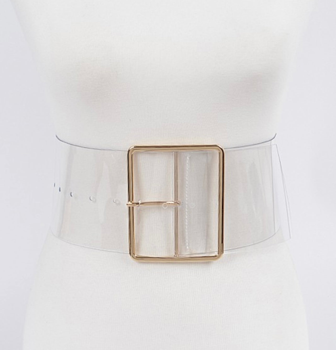 Pretty Simple Pretty Gold Buckle Wide Transparent Belt